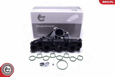 Intake Manifold Module ESEN SKV 49SKV041
