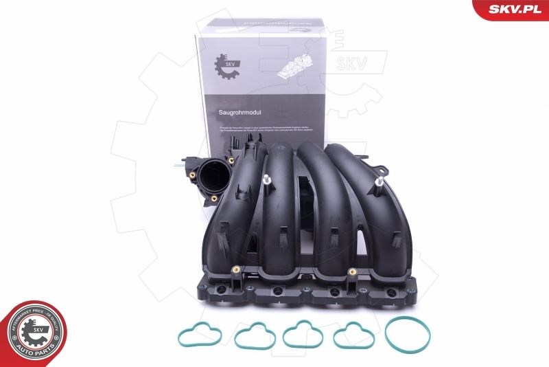 ESEN SKV 49SKV043 Intake Manifold Module