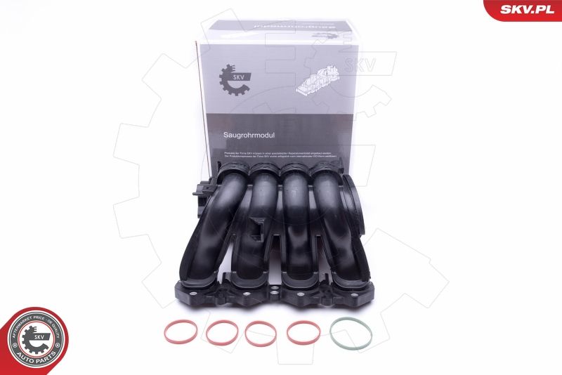 ESEN SKV 49SKV046 Intake Manifold Module