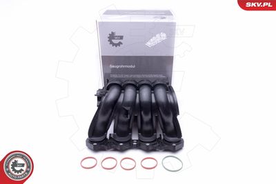 Intake Manifold Module ESEN SKV 49SKV046