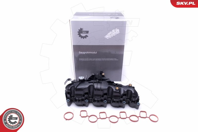 ESEN SKV 49SKV047 Intake Manifold Module