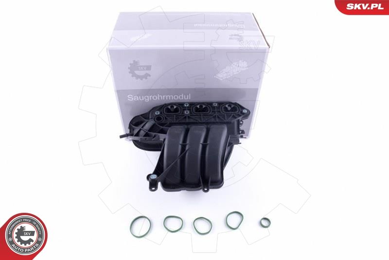ESEN SKV 49SKV056 Intake Manifold Module