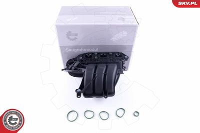 Intake Manifold Module ESEN SKV 49SKV056