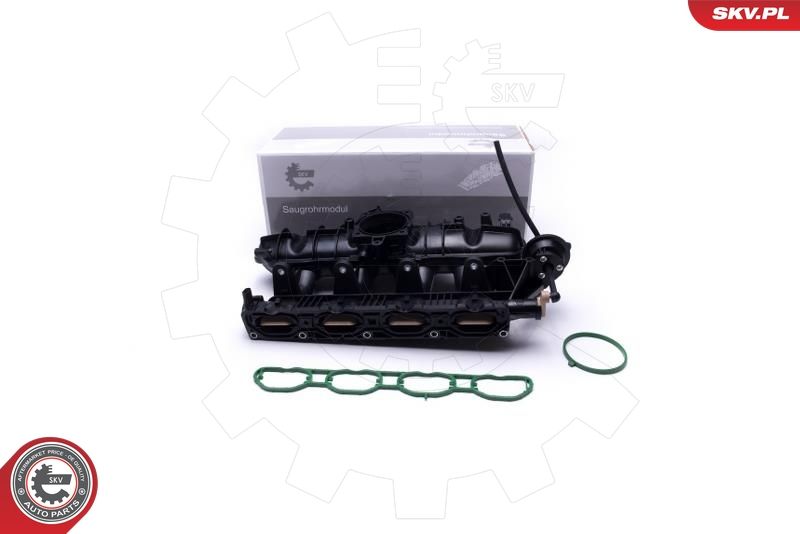 ESEN SKV 49SKV059 Intake Manifold Module