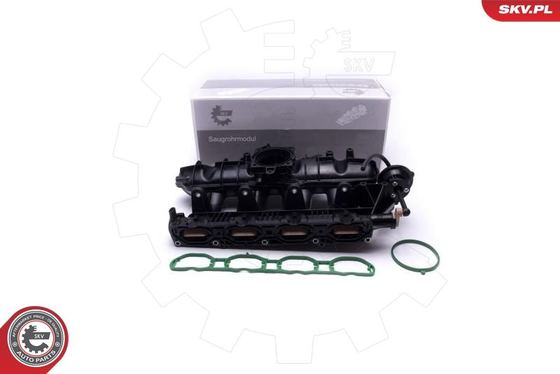 ESEN SKV 49SKV060 Intake Manifold Module