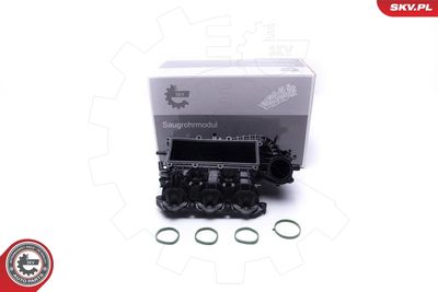 Intake Manifold Module ESEN SKV 49SKV061