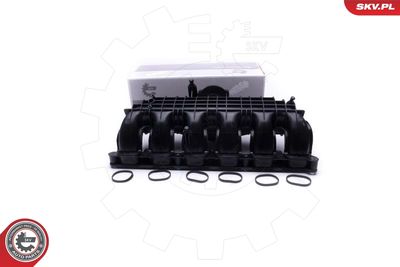 Intake Manifold Module ESEN SKV 49SKV064