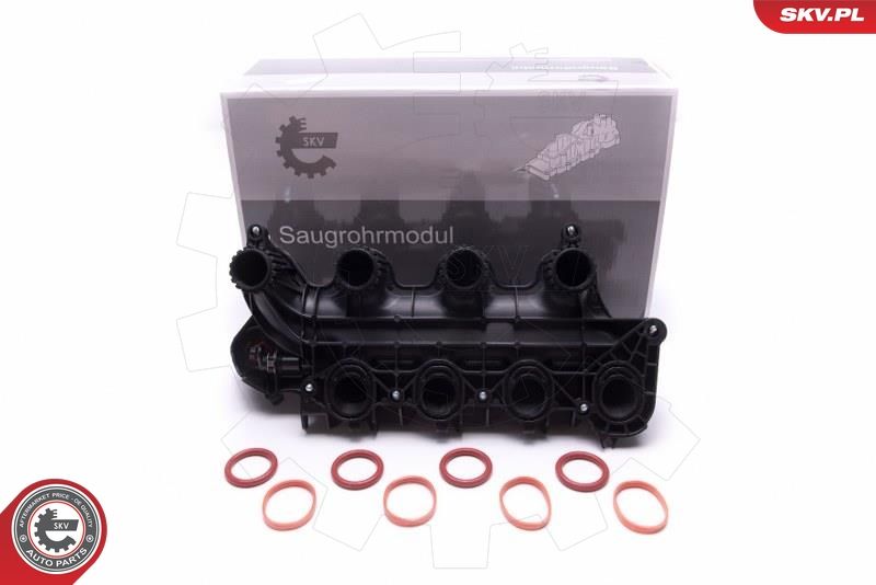 ESEN SKV 49SKV065 Intake Manifold Module