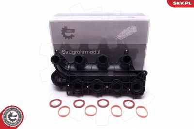 Intake Manifold Module ESEN SKV 49SKV065