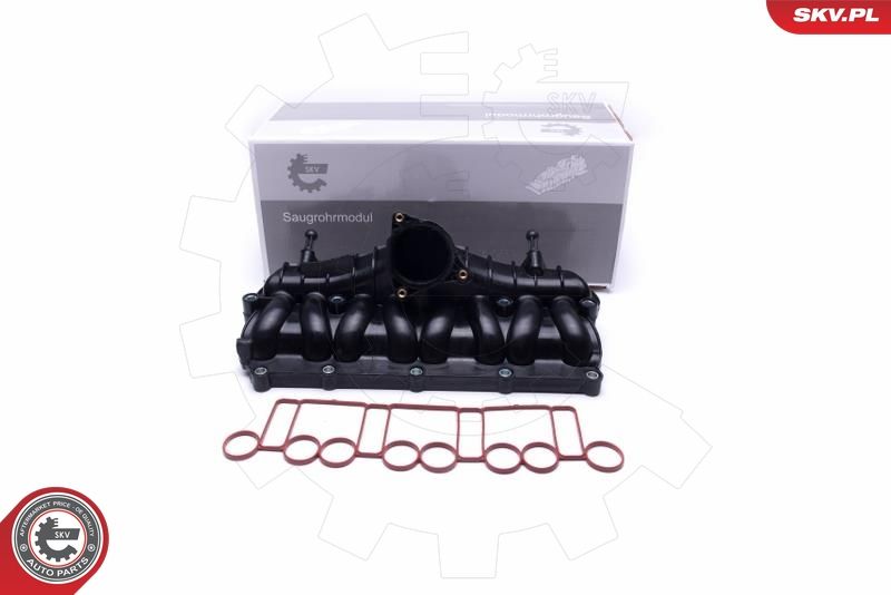 ESEN SKV 49SKV066 Intake Manifold Module