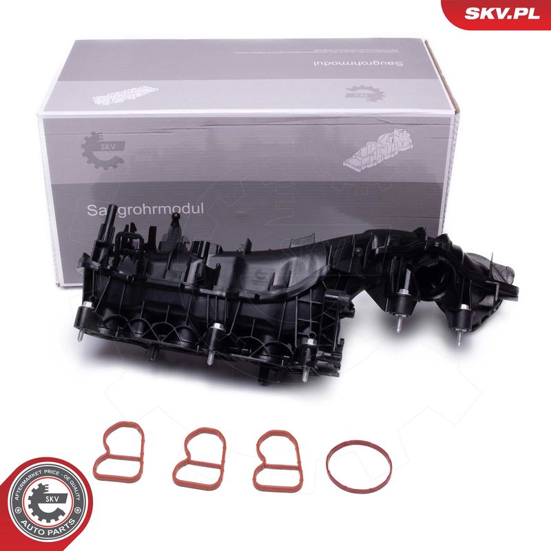 ESEN SKV 49SKV079 Intake Manifold Module