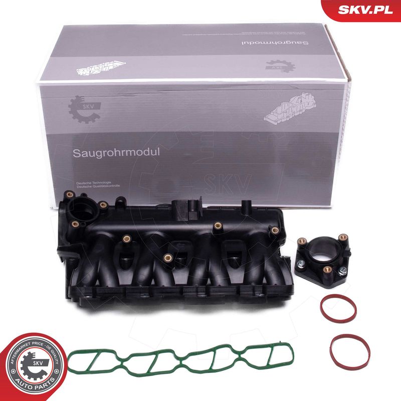 ESEN SKV 49SKV081 Intake Manifold Module
