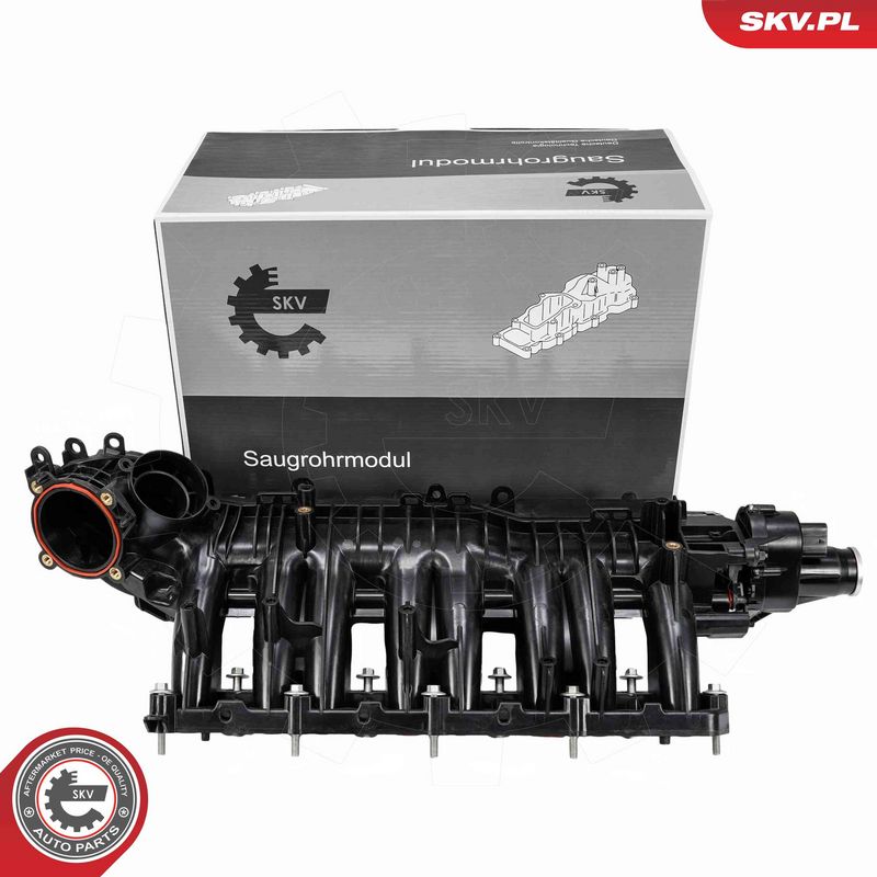ESEN SKV 49SKV090 Intake Manifold Module
