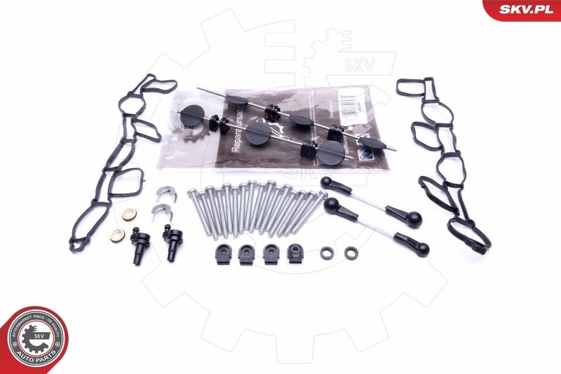 ESEN SKV 49SKV501 Repair Kit, intake manifold module