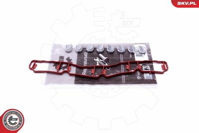 Repair Kit, intake manifold module ESEN SKV 49SKV510