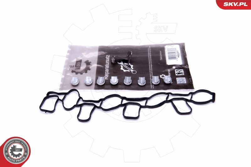 ESEN SKV 49SKV511 Repair Kit, intake manifold module