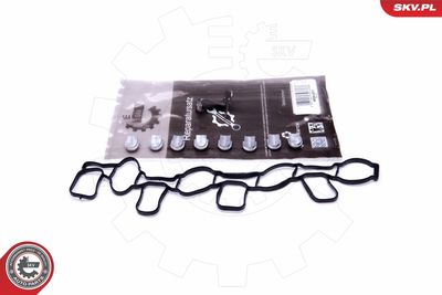 Repair Kit, intake manifold module ESEN SKV 49SKV511