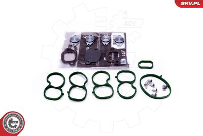 Repair Kit, intake manifold module ESEN SKV 49SKV512