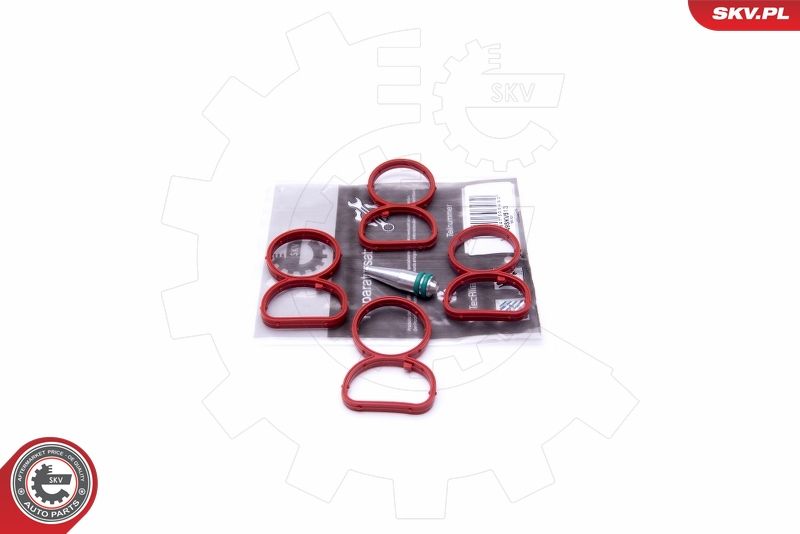 ESEN SKV 49SKV513 Repair Kit, intake manifold module