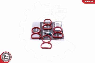 Repair Kit, intake manifold module ESEN SKV 49SKV513