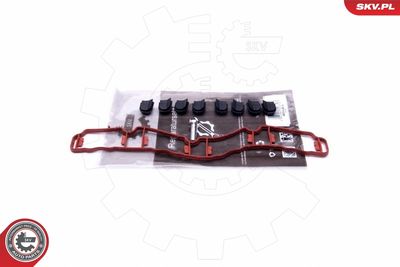Repair Kit, intake manifold module ESEN SKV 49SKV514