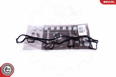 Repair Kit, intake manifold module ESEN SKV 49SKV515