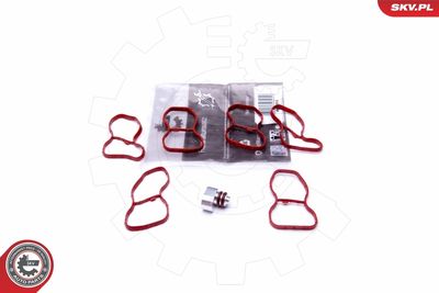 Repair Kit, intake manifold module ESEN SKV 49SKV516