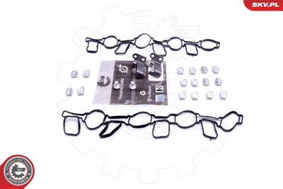 Repair Kit, intake manifold module ESEN SKV 49SKV519