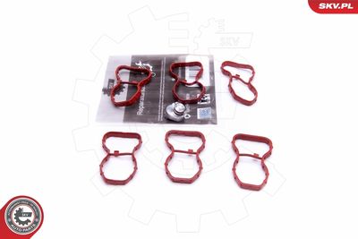 Repair Kit, intake manifold module ESEN SKV 49SKV520