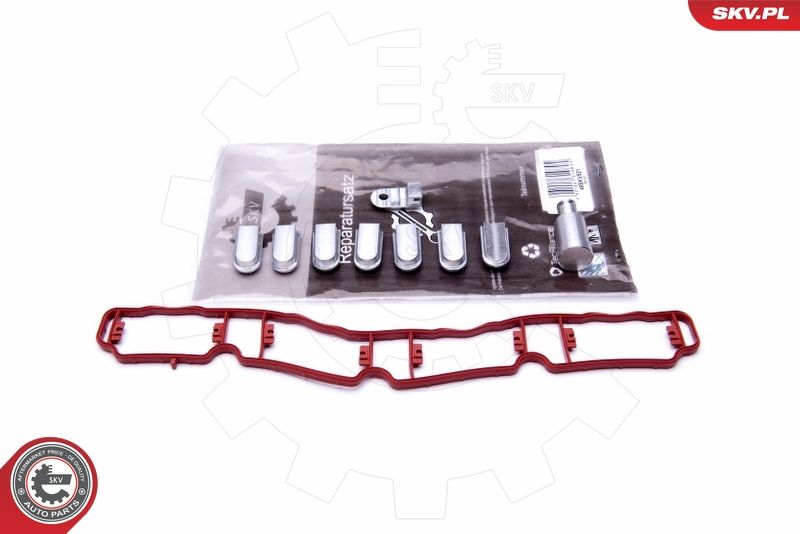 ESEN SKV 49SKV521 Repair Kit, intake manifold module