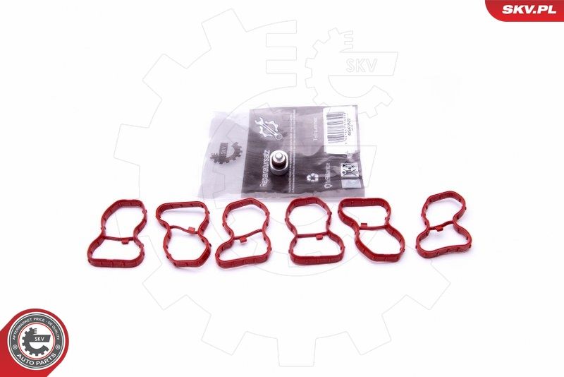 ESEN SKV 49SKV522 Repair Kit, intake manifold module