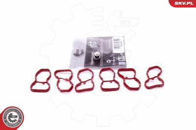 Repair Kit, intake manifold module ESEN SKV 49SKV522