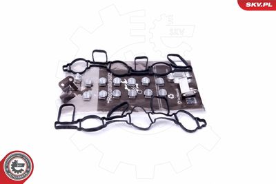 Repair Kit, intake manifold module ESEN SKV 49SKV523