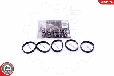 Repair Kit, intake manifold module ESEN SKV 49SKV524