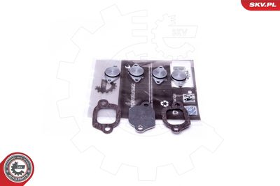 Repair Kit, intake manifold module ESEN SKV 49SKV529