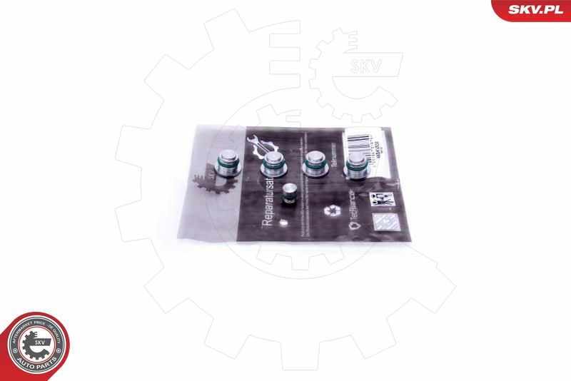 ESEN SKV 49SKV530 Repair Kit, intake manifold module