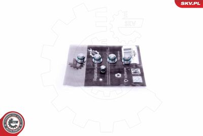 Repair Kit, intake manifold module ESEN SKV 49SKV530