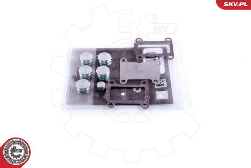 ESEN SKV 49SKV531 Repair Kit, intake manifold module