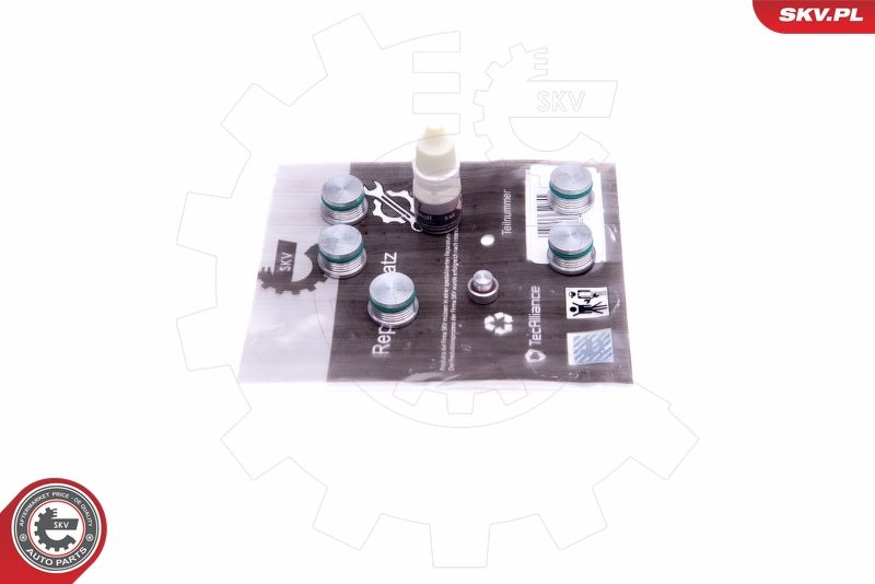 ESEN SKV 49SKV537 Repair Kit, intake manifold module