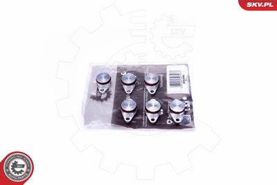 Repair Kit, intake manifold module ESEN SKV 49SKV545