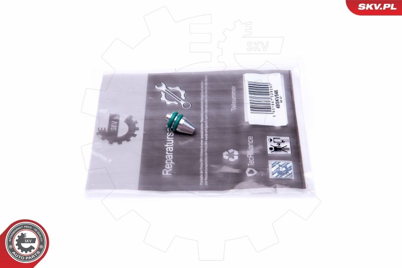 ESEN SKV 49SKV546 Repair Kit, intake manifold module