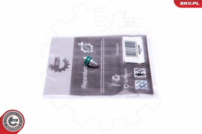 Repair Kit, intake manifold module ESEN SKV 49SKV546