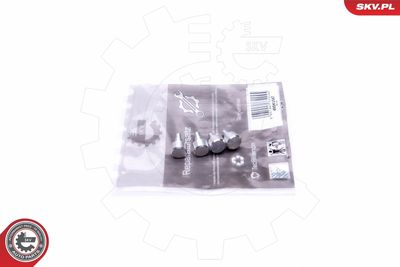 Repair Kit, intake manifold module ESEN SKV 49SKV547