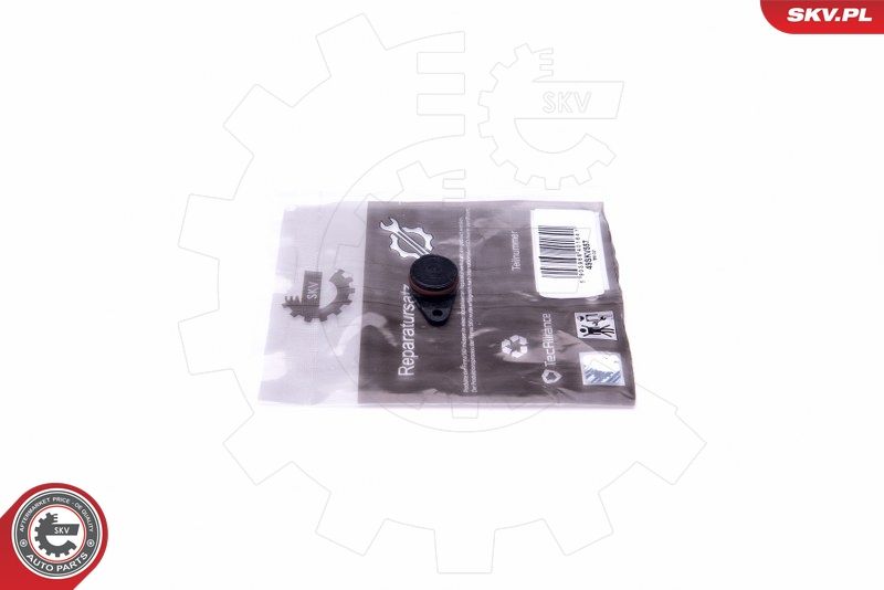 ESEN SKV 49SKV557 Repair Kit, intake manifold module