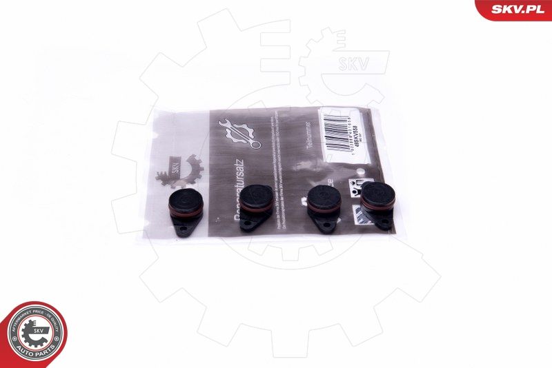 ESEN SKV 49SKV558 Repair Kit, intake manifold module
