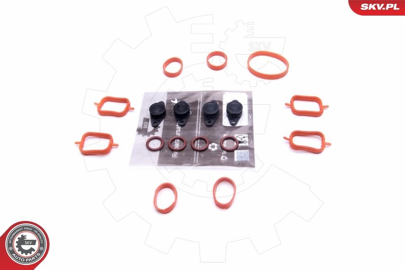 ESEN SKV 49SKV561 Repair Kit, intake manifold module