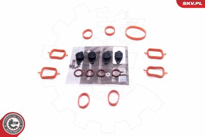Repair Kit, intake manifold module ESEN SKV 49SKV561
