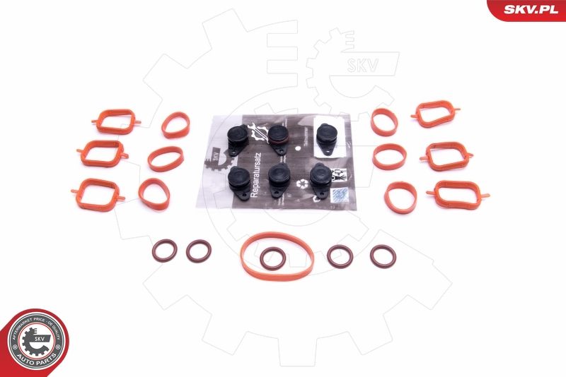 ESEN SKV 49SKV562 Repair Kit, intake manifold module