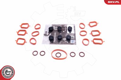 Repair Kit, intake manifold module ESEN SKV 49SKV562