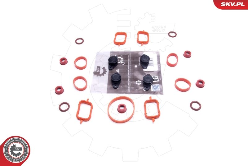 ESEN SKV 49SKV563 Repair Kit, intake manifold module